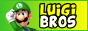 Super Luigi Bros